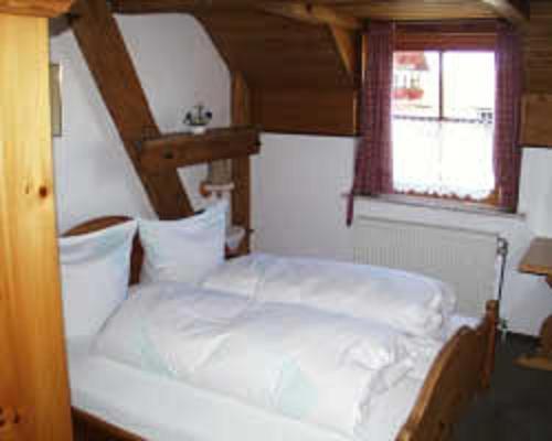 Hotel Restaurant Schrotmuehle Scheinfeld ภายนอก รูปภาพ